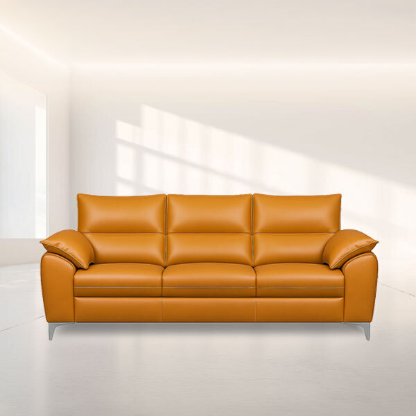 Leather Sofas